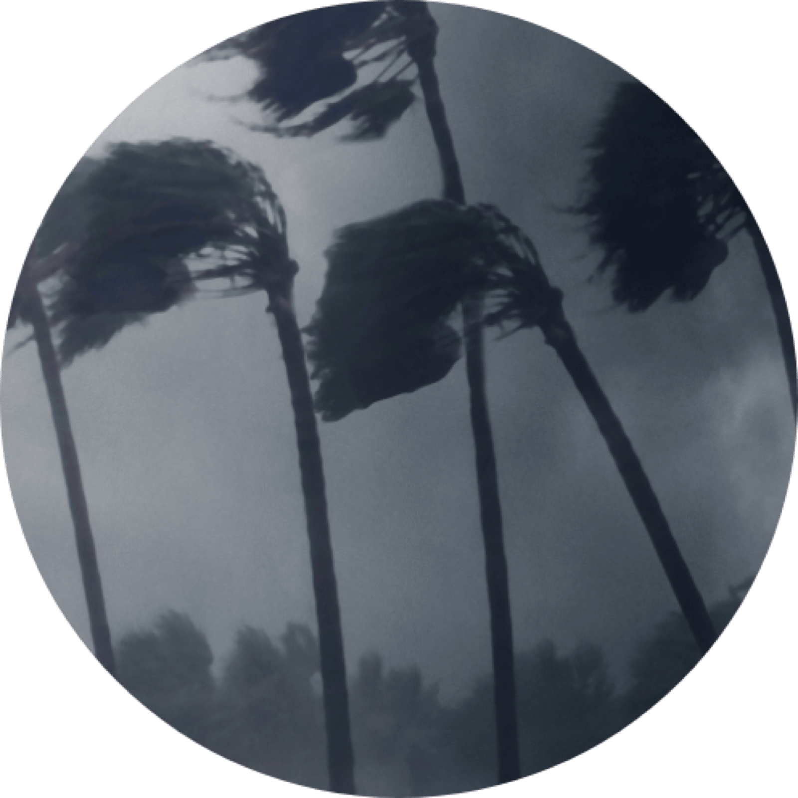 Hurricane