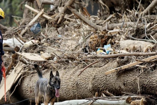How North Carolina is Responding to Hurricane Helene: A Collaborative Effort