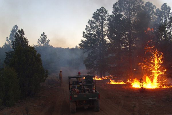 How the New Mexico Wildfire Could Lead to Covered Flood Claims