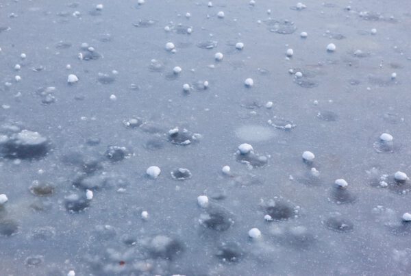 Recent Hail Storms in Texas: How a Public Adjuster Can Help Property Owners Recover
